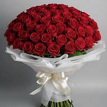 Букет 101 Красная роза Блэк Мэджик в Катав-Ивановске