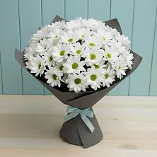 Букет цветов из:  Хризантемы в Катав-Ивановске