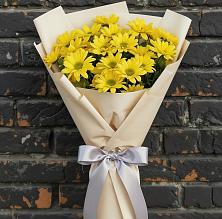 Букет цветов из:  Хризантемы в Катав-Ивановске