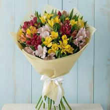 Букет цветов из:  Альстромерии в Катав-Ивановске