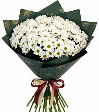 Букет цветов из:  Хризантемы в Катав-Ивановске