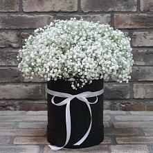 Цветочная композиция из Гипсофила в шляпной коробке #REPLACE_PRED# Катав-Ивановске