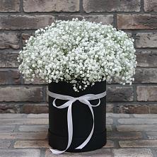 Цветочная композиция из Гипсофила в шляпной коробке в Катав-Ивановске