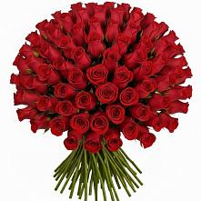 Букет Красные розы Чери Лав в Катав-Ивановске