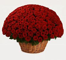 Премиум букет из: Розы #REPLACE_PRED# Катав-Ивановске