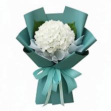 Букет цветов из:  Гортензия #REPLACE_PRED# Катав-Ивановске